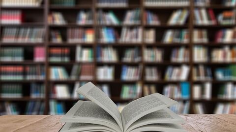 Mit dem Hessischen Verlagspreis soll die kulturelle Vielfalt der Verlage in Hessen und deren Arbeit gewürdigt und unterstützt werden Ein aufgeschlagenes Buch vor einem Bücherregal