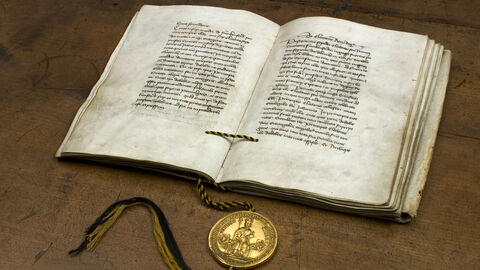 Das prächtige Siegel verlieh der Goldenen Bulle ihren Namen Die Goldene Bulle liegt als aufgeschlagenes Buch auf einem Tisch. Am unteren Buchrand ist ein goldenes Siegel an einer Kordel befestigt.