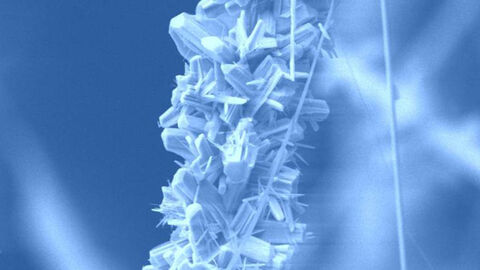 Eine mikroskopische Aufnahme, zu sehen sind kristallene Strukturen