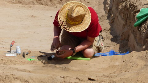 Archäologische Arbeit ist nicht immer wie im Film Eine Person mit Strohhut kniet im Sand und gräbt