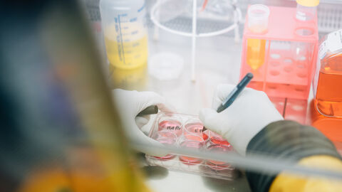 Eine Person im Schutzanzug tropft eine Flüssigkeit in Petrischalen; man sieht ihr über die Schulter