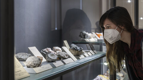 Eine Frau schaut sich Kristalle hinter der Vitrine an