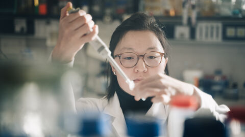 Hessen fördert seinen wissenschaftlichen Nachwuchs Eine Forscherin tropft mit einer Pipette eine Flüssigkeit in ein Reagenzglas