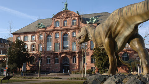 Das Senckenberg-Museum von außen mit einer lebensgroßen Dinosaurierfigur im Vordergrund