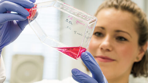 Eine Forscherin hält einen Behälter mit rosafarbener Flüssigkeit hoch