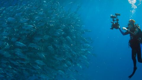 Szene aus "Wer wir waren" Szene aus "Wer wir waren"