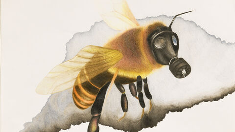 Bild von "Jugend malt"-Gewinnerin Evelin Springer, 11 Jahre Bild von "Jugend malt"-Gewinnerin Evelin Springer: Eine Biene mit Gasmaske