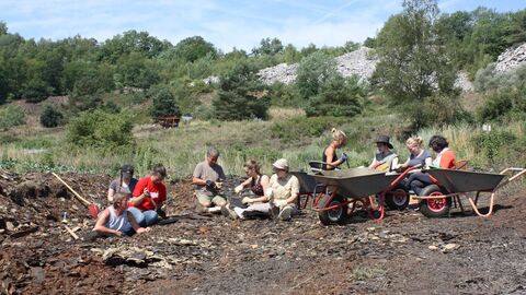 Forscherinnen und Forscher graben nach Fossilien