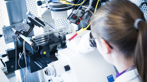 Hessens Hochschulen feiern Erfolge Eine Frau schaut durch ein Mikroskop