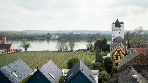 Der Eltviller Turm ragt über die Dächer der Stadt.