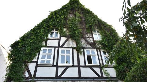 Der Arbeitskreis "Rückblende - Gegen das Vergessen" sammelte Geld, um das Gustav-Hüneberg-Haus zu erwerben und zu einem Dokumentations- und Informationszentrum zur deutsch-jüdischen Regionalgeschichte umzubauen. Das efeubewachsene Gustav-Hüneberg-Haus