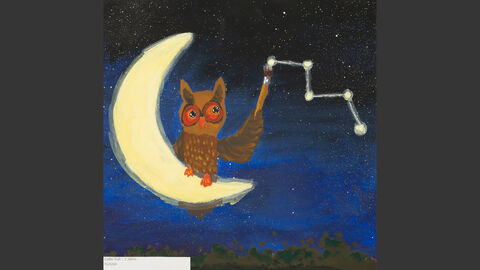 Eine Eule sitzt auf der Mondsichel und zeichnet mit einem Zauberstab ein Sternzeichen in den Himmel.