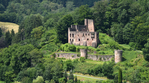 Blick auf die Burgruine Freienstein