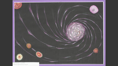 Von einem Rotkohl im Querschnitt vor schwarzem Hintergrund geht ein weißer Strudel aus, an den Ausläufern des Strudels kleine Obst- und Gemüsestücke im Querschnitt.