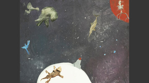 Ein Planet mit Rakete, um ihn herum schwirren Fossilien und Tierskelette