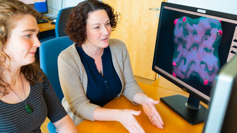 Mit ihrer Forschungsgruppe untersucht Bonnie Murphy die Struktur und Funktion von Redox-Proteinen Dr. Bonnie Murphy schaut sich ein Elektronenmikroskop-Bild am Computer an.
