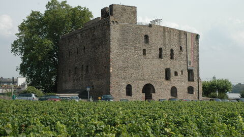 Brömserburg Brömserburg