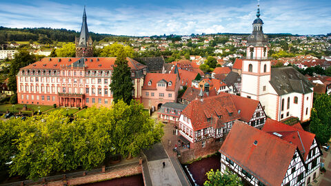 Schloss Erbach Blick auf Schloss Erbach