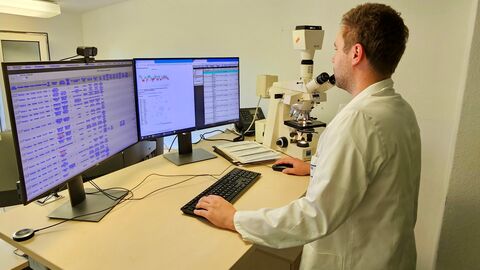 Das Gründerteam von CNS bei der Arbeit an ihrer Datenbank.