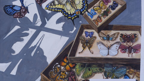 Schmetterlinge entfliehen ihren Boxen.