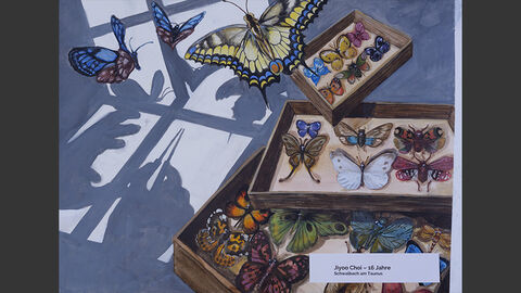 Boxen mit Schmetterlingen, die eigentlich präpariert sind; einige lebende flattern davon.