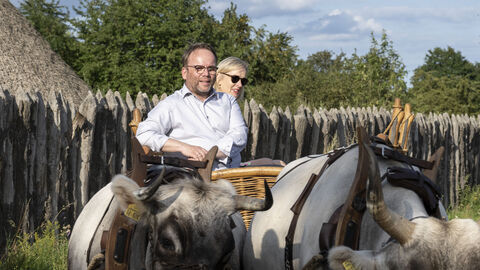 Impressionen vom Sommerreise-Besuch im Kloster Lorsch und Freilichtlabor Lauresham. Minister Gremmels auf einem Wagen, der von Auerochsen gezogen wird.