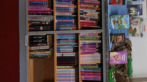 Impressionen vom Sommerreise-Besuch in der Phantastischen Bibliothek Wetzlar. Blick aufs Bücherregal mit fantasievollen Verzierungen.