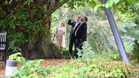 Impressionen vom Sommerreise-Besuch bei der Werner Reimers Stiftung in Bad Homburg. Minister Gremmels schaut sich einen alten Baum auf dem Stiftungsgelände an