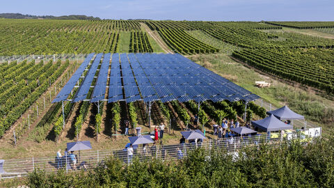 . Bei der Anlage handelt es sich um eine komplexe Installation automatisiert gesteuerter Photovoltaic-Module über den Reben im Weinberg. Die Photovoltaik-Anlagen in den Weinbergen.