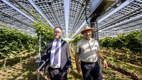 Minister Gremmels in den Weinbergen.