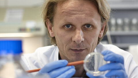 Prof. Dr. Ivan Đikić erhält eine LOEWE-Spitzen-Professur an der Goethe-Universität Frankfurt. Prof. Dr. Ivan Đikić in seinem Labor