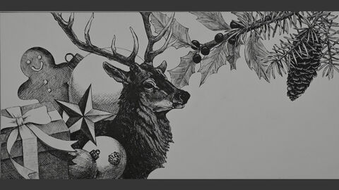 Dieses Bild ist eines von vier Motiven, das wir für unsere Weihnachtskarte ausgesucht haben. Ein Hirsch mit Tannenzweig und Lebkuchenmann