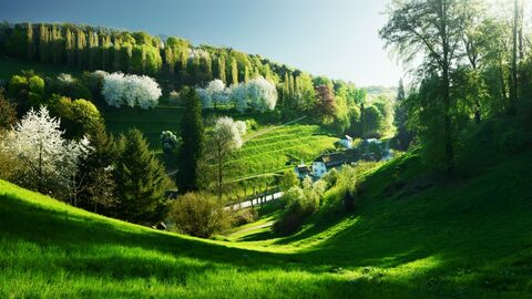 Blick auf den grünen Staatspark Fürstenlager