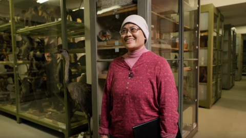 Ehrenamtliches Engagement spielt in Kunst und Kultur eine wichtige Rolle. Eine Frau, die sich im Museum Wiesbaden ehrenamtlich engagiert, steht im Archiv vor ausgestopften Tieren.