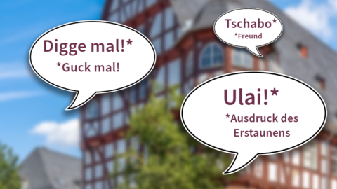 Sprechen Sie Manisch? Das Neue Schloss von Gießen, davor sind Sprechblasen mit dem Manisch-Ausdrücken