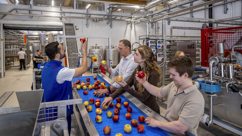 Sudierende prüfen Äfpel