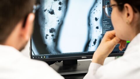 Ziel des Exzellenzclusters „Cardio-Pulmonary Institute“ ist es zu verstehen, welche molekular-biologischen Prozesse dem Funktionieren von Herz und Lunge und ihrem Versagen bei Erkrankungen zugrunde liegen.  Zwei Forscher schauen sich ein Röntgenbild an.