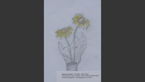 Zwei Pflanzen wachsen aus einer kaputten Glühbirne