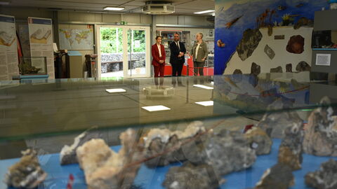 Das Lahn-Marmor-Museum hat mehrere Dauerausstellungen: Sie geben Einblicke in die Geologie, zeigen Abbau, Verarbeitung und Transport des Lahn-Marmors und beleuchten seine Rolle in der Kunstgeschichte. Blick in die Ausstellung im Lahn-Marmor-Museum