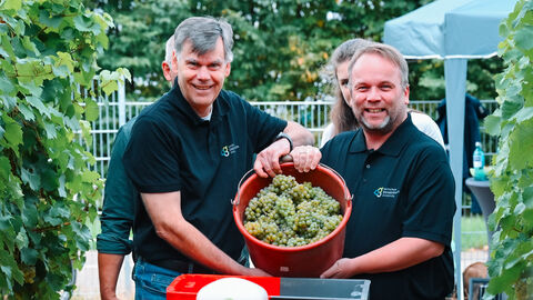 Herr Mühling und Herr Gremmels stehen auf einem Weinberg und halten einen Eimer mit Trauben in die Kamera und lächeln
