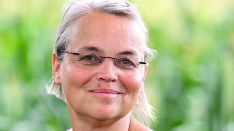 Wenka von Mikulicz