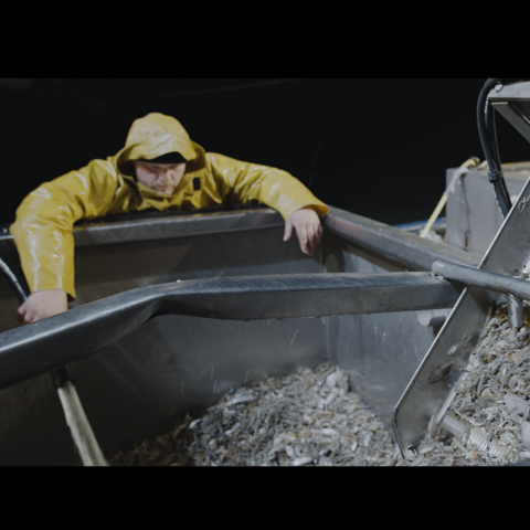 Szene aus "Ein Leben auf See": Ein Fischermann im gelben Schutzanzug überwacht einen Fang Fische