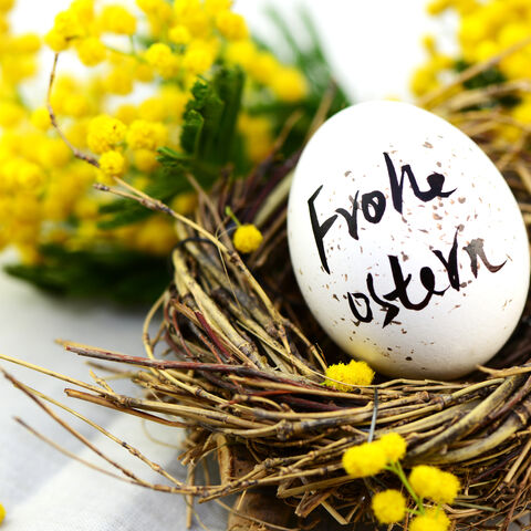 Osternest mit Osterei